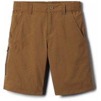 columbia-silver-ridge iv-shorts-hosen